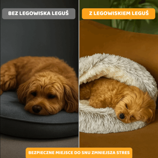 LEGUŚ - legowisko, które naprawdę wycisza Twojego pupila