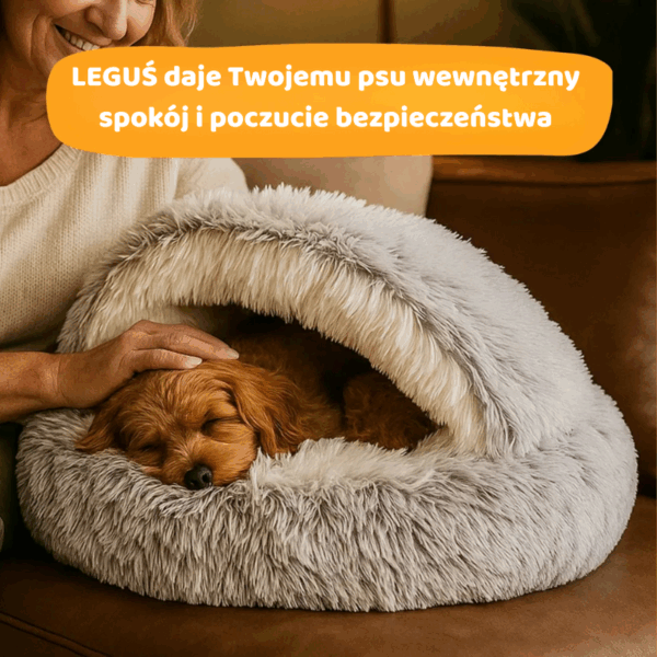 LEGUŚ - legowisko, które naprawdę wycisza Twojego pupila